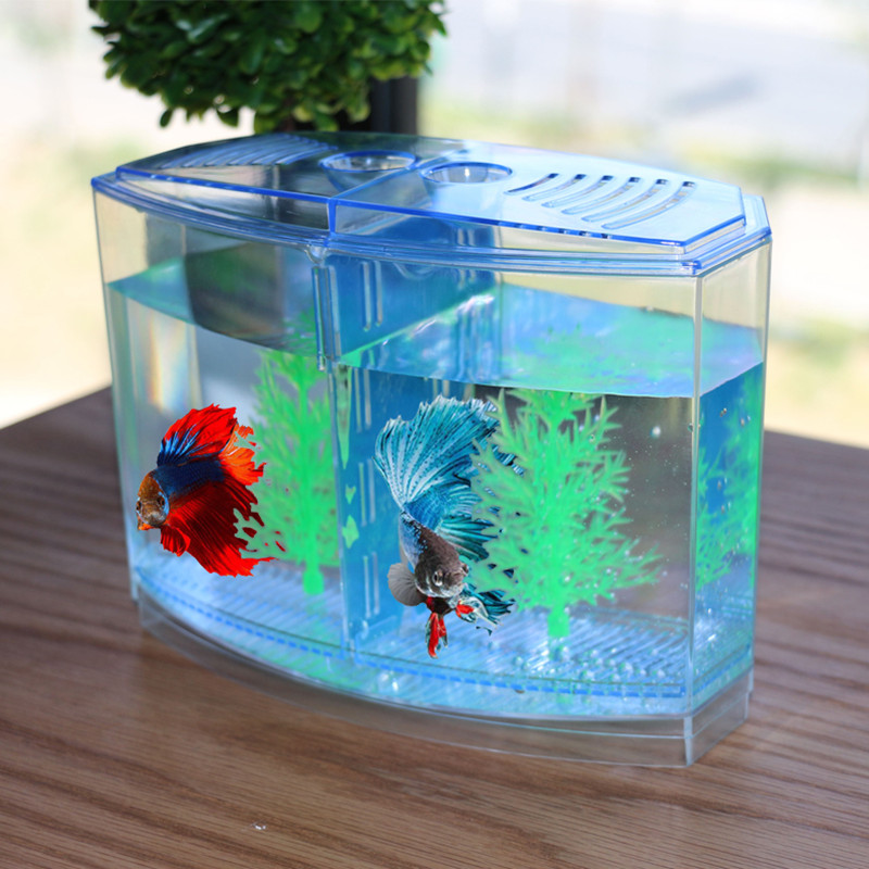 Aquarium Fish Keeping - Nieuw en grappig speelgoed Creatieve aquariumisolatiedoos