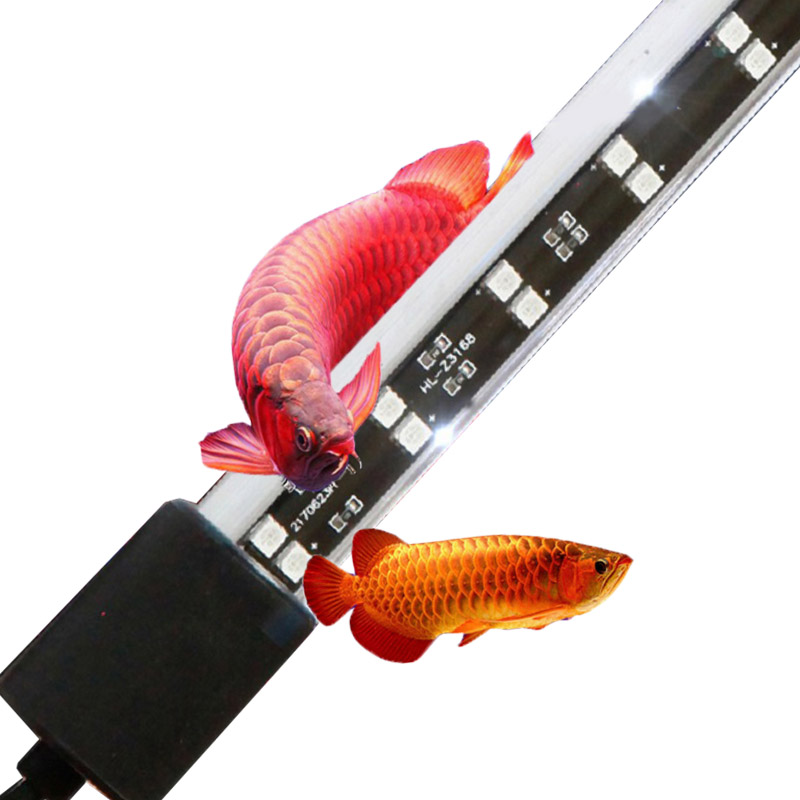72cm 20 Watt Rode Arowana Aqua - Aquarium Fish Keeping recensie en prijs