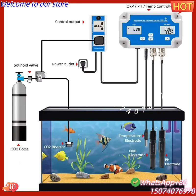 2026 Draadloze WiFi Online Con - Aquarium Fish In Online recensie en prijs