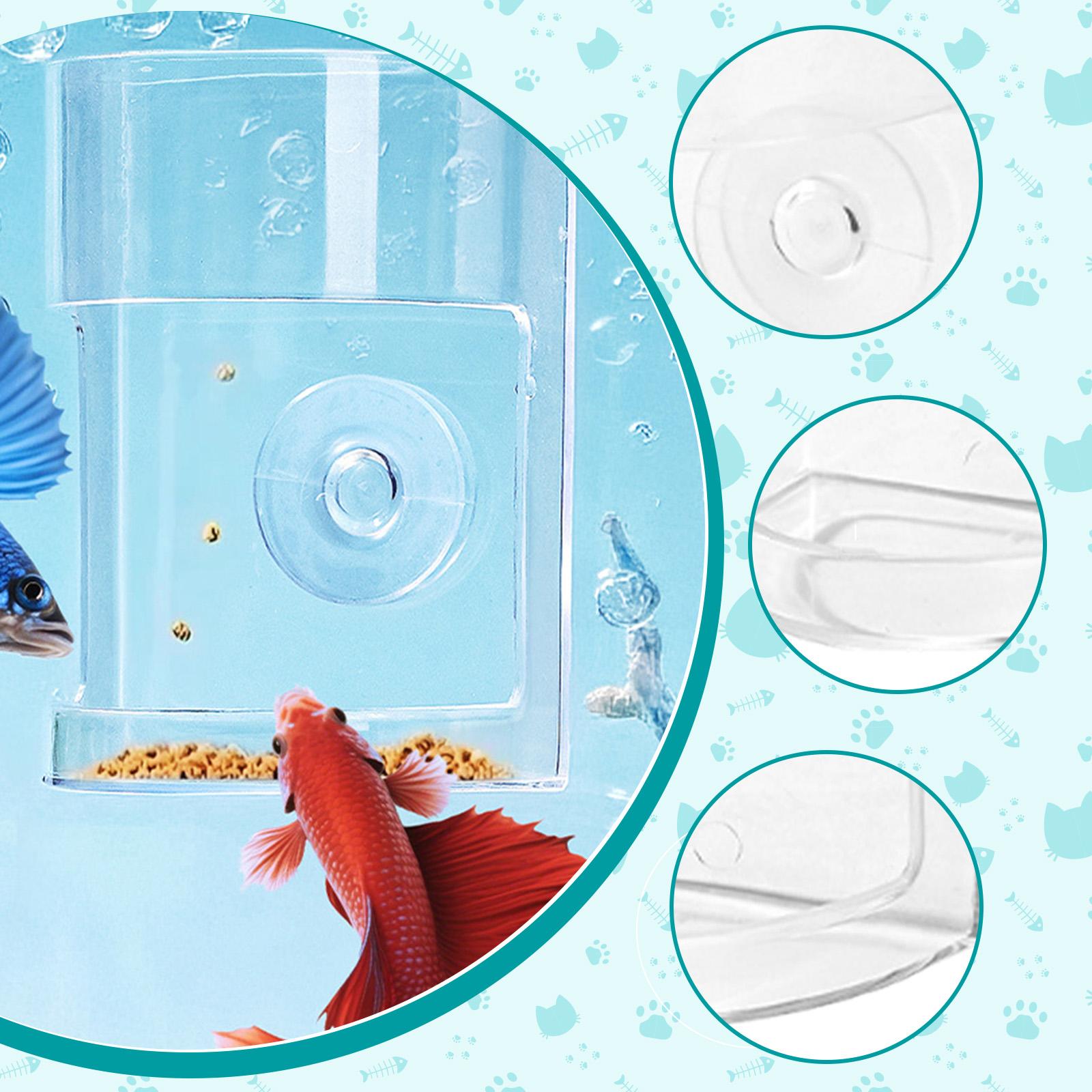 Visvoederring van helder PS, d - Aquarium Fish Keeping recensie en prijs