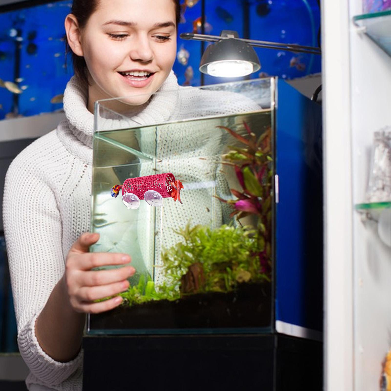 Betta Habitat Rustplaats Ornam - Aquarium Fish Small recensie en prijs