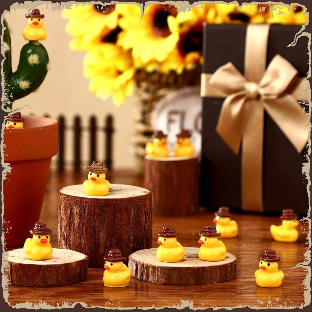 50 stuks mini hars cowboy eend - Aquarium Fish Small recensie en prijs