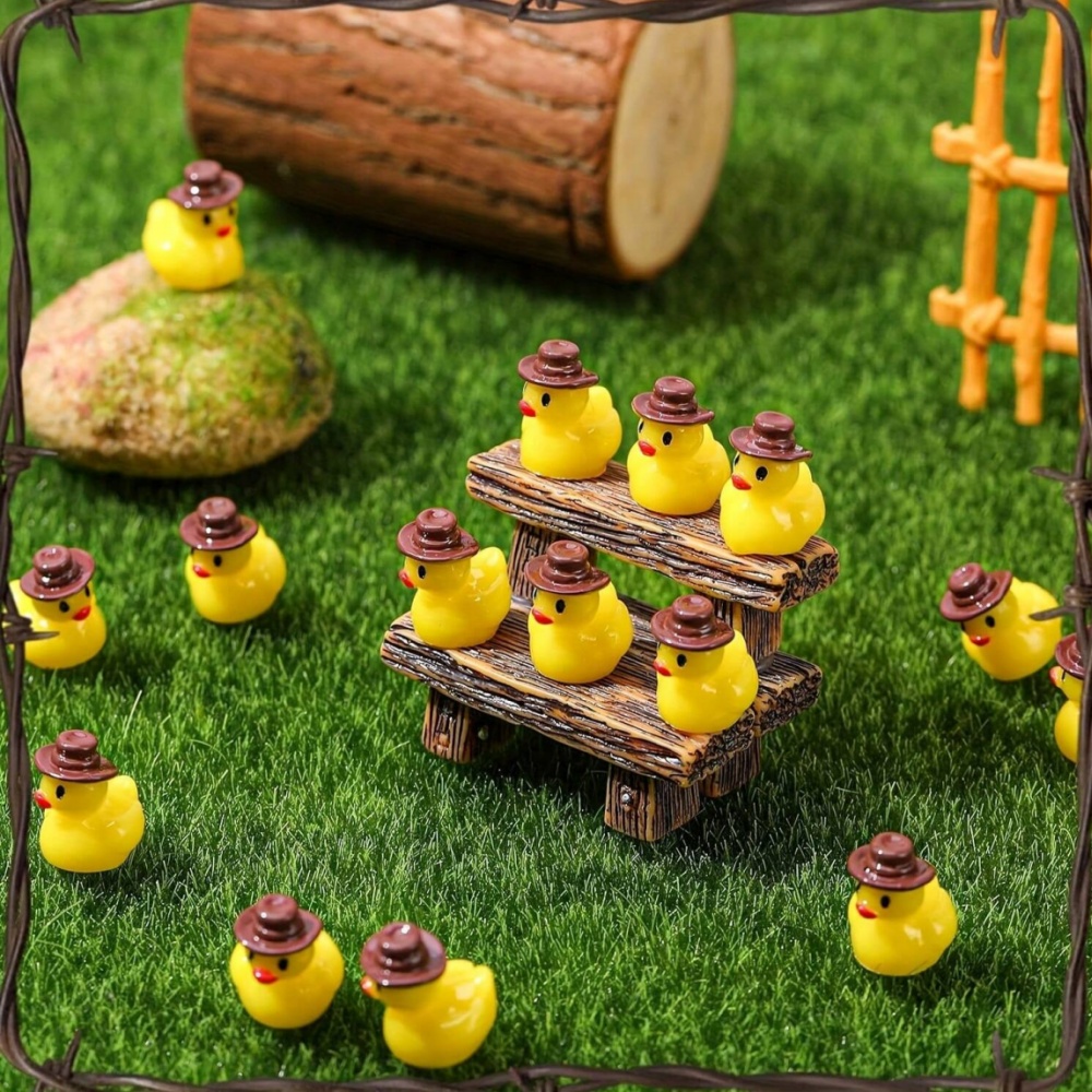 50 stuks mini hars cowboy eend - Aquarium Fish Small recensie en prijs