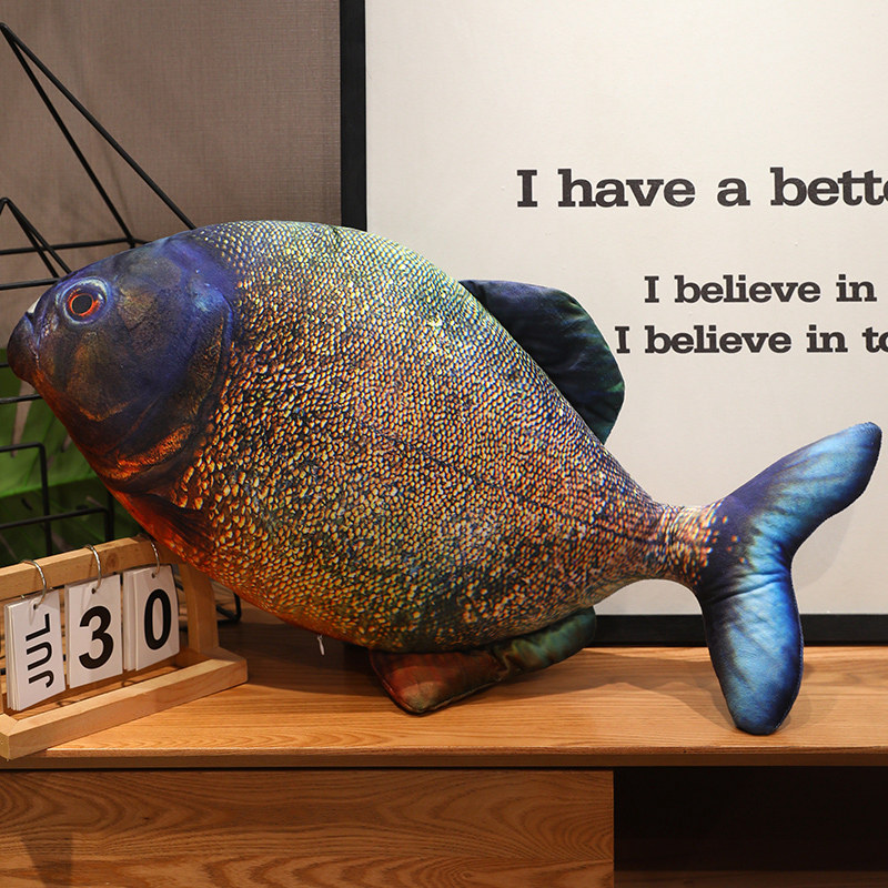 Nieuwe realistische zeevis Pir - Aquarium Fish Rainbow recensie en prijs