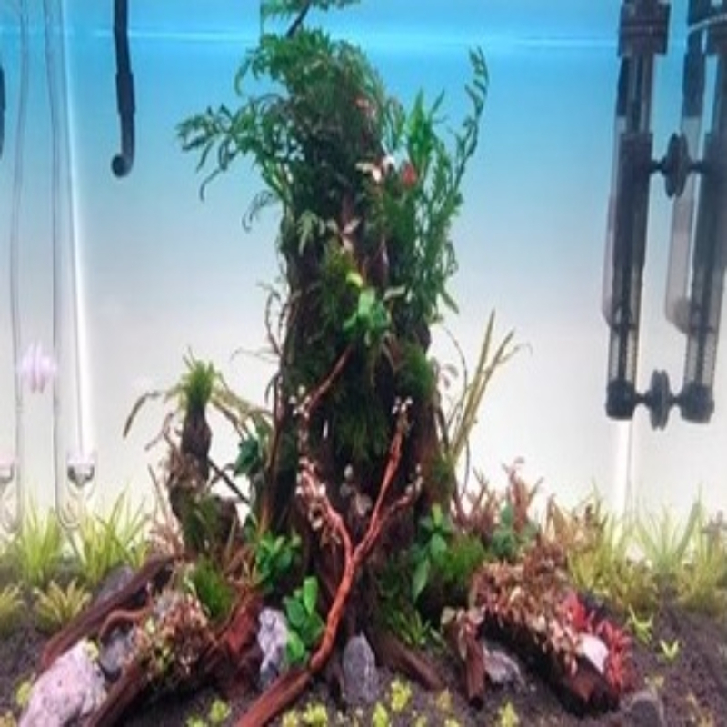 Aquarium Achtergrondbord LED A - Aquarium Fish Rainbow recensie en prijs