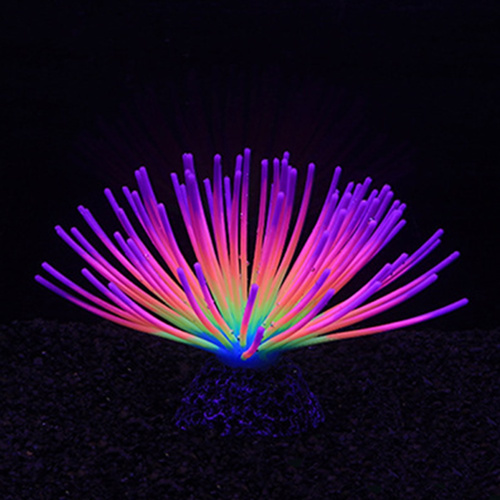 Kleurrijk aquarium siliconen k - Aquarium Fish Rainbow recensie en prijs