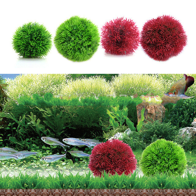 Simulatie Gras bal Aquarium De - Aquarium Fish Ball recensie en prijs