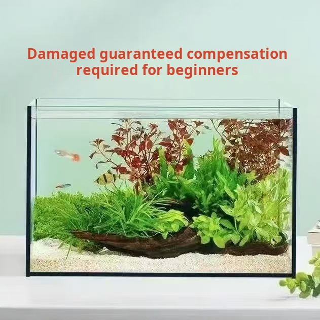 Ultraheldere grote rechthoekig - Aquarium Fish Keeping recensie en prijs