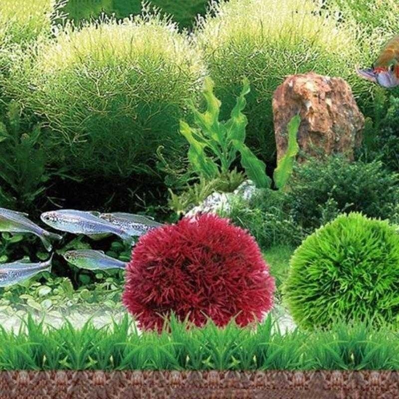 2026 Kunstmatige Aquatische Pl - Aquarium Fish Ball recensie en prijs