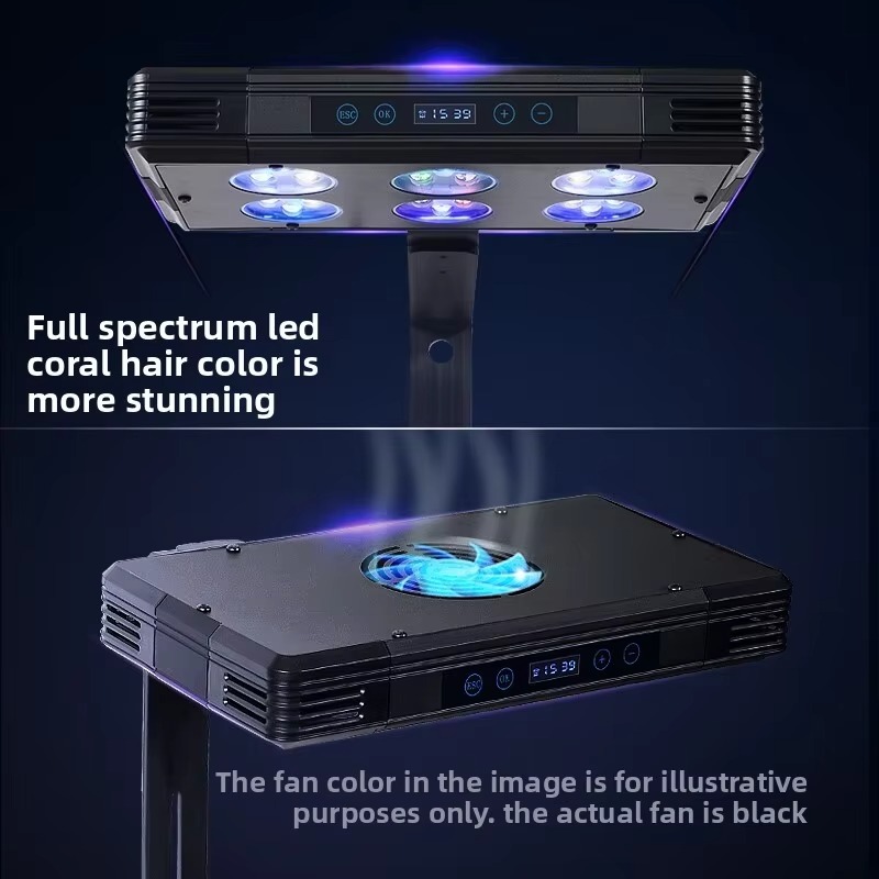 Eiwitafschuimer LED-lamp alles - Protein Skimmer Reef recensie en prijs