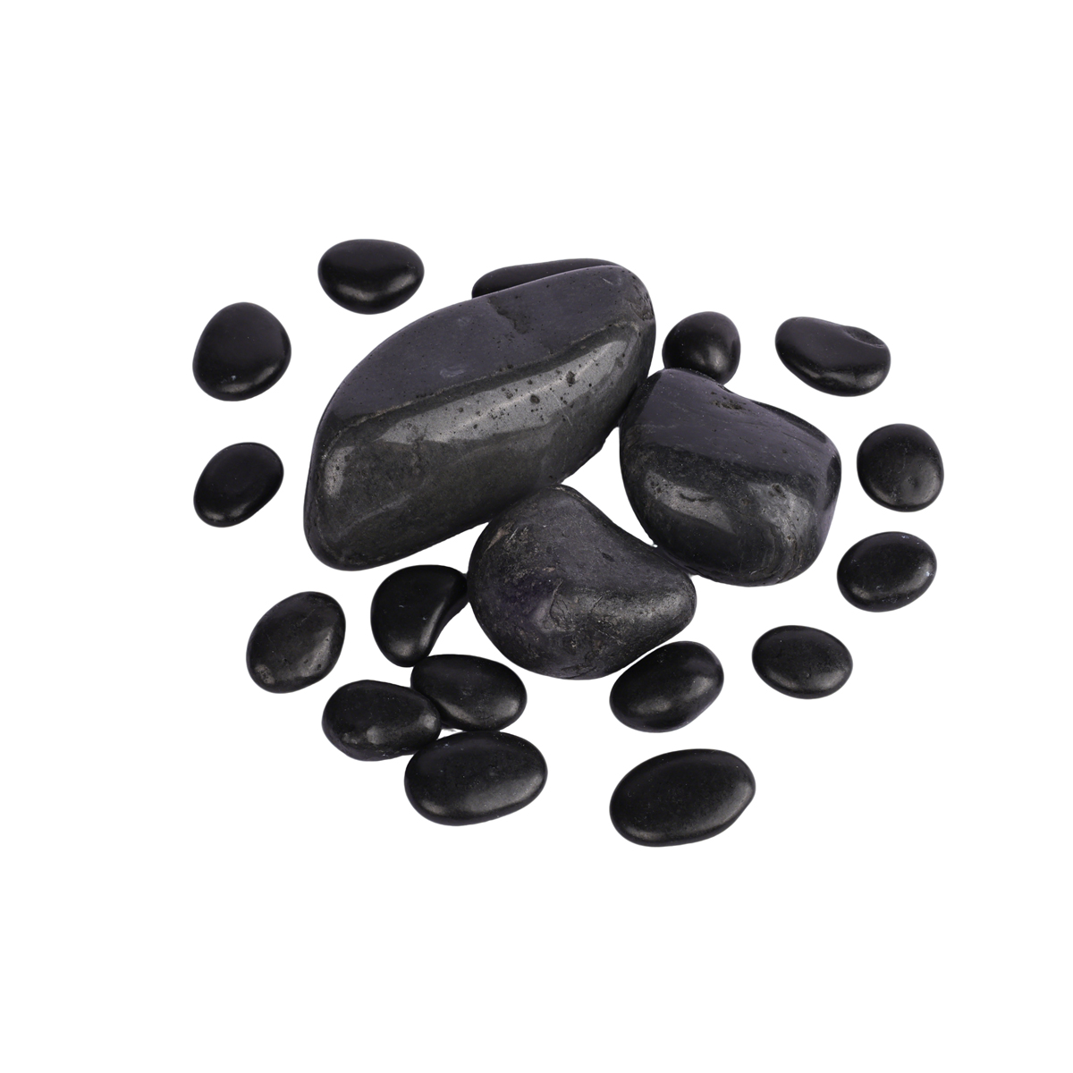 Hoge kwaliteit natuurlijke reg - Aquarium Fish Rainbow recensie en prijs
