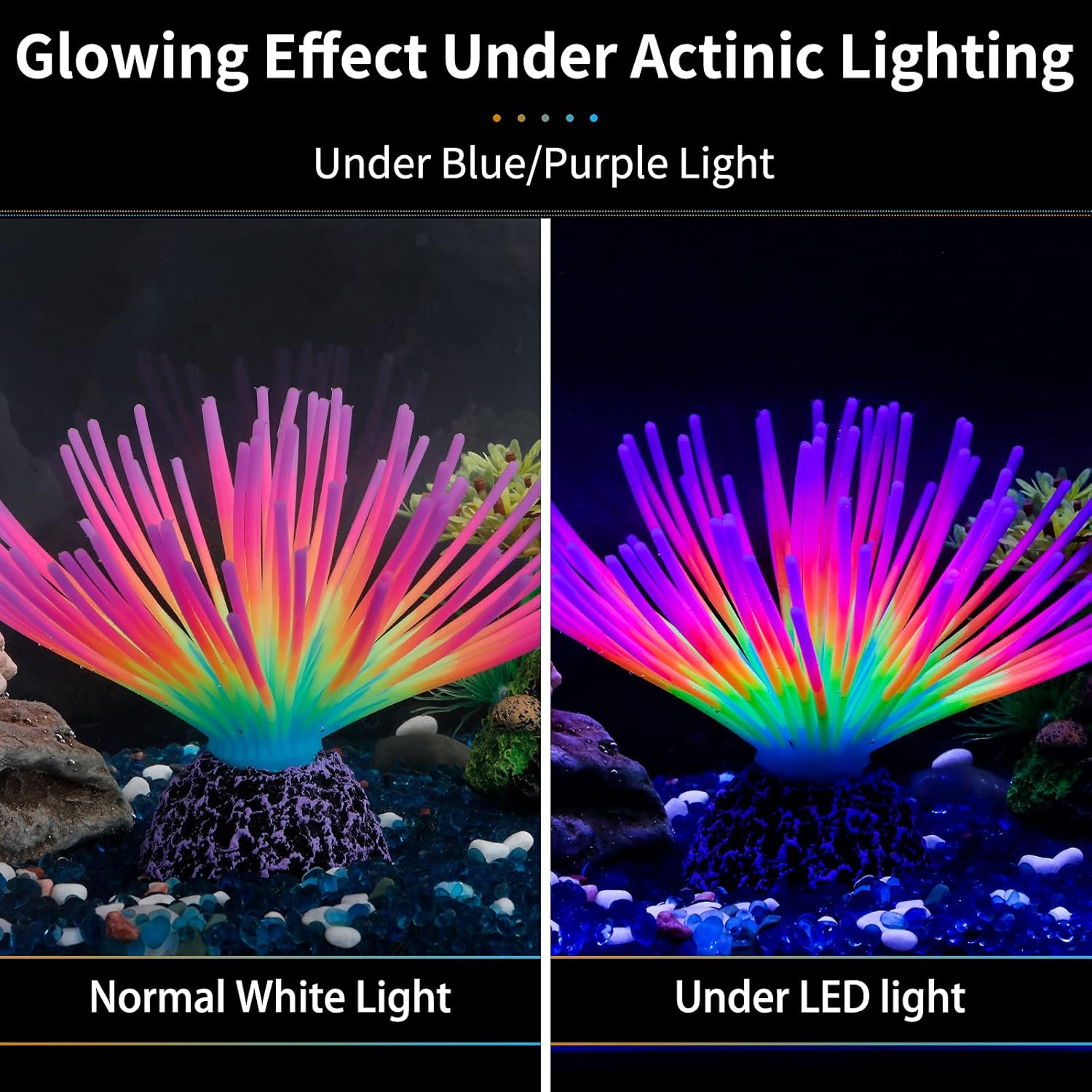 Aquarium Imitatie Regenboog Ze - Aquarium Fish Rainbow recensie en prijs