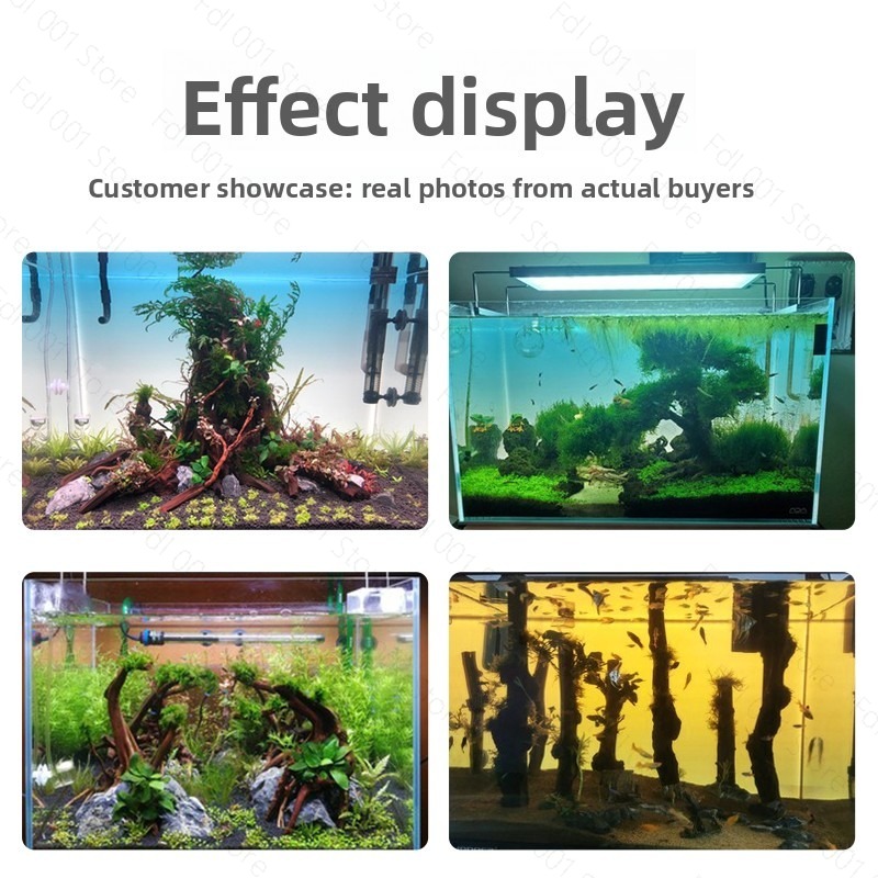 Aquarium Achterwand LED Aquari - Aquarium Fish Rainbow recensie en prijs