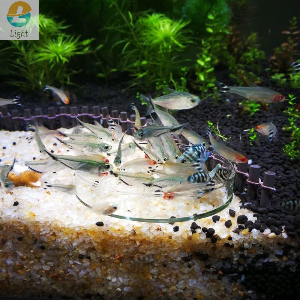 Aquarium Feeder Bowls Schotel  - Aquarium Fish Keeping recensie en prijs