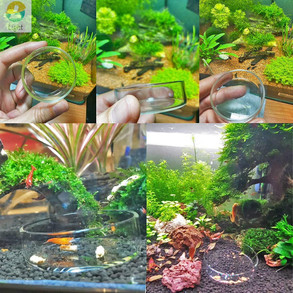Aquarium Feeder Bowls Schotel  - Aquarium Fish Keeping recensie en prijs